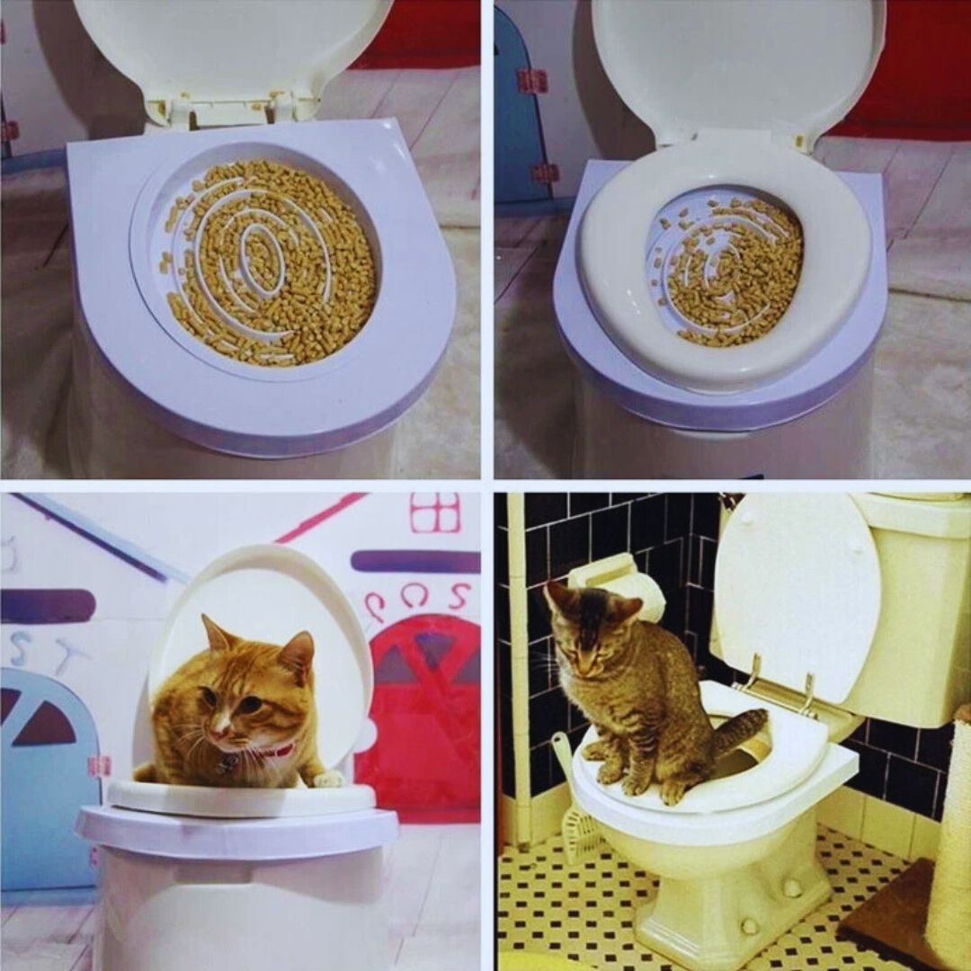 Katzentoilette Training mit Toiletteneinlage für Katzen – Katzentrainer Set für Saubere Toilette Gewohnheiten