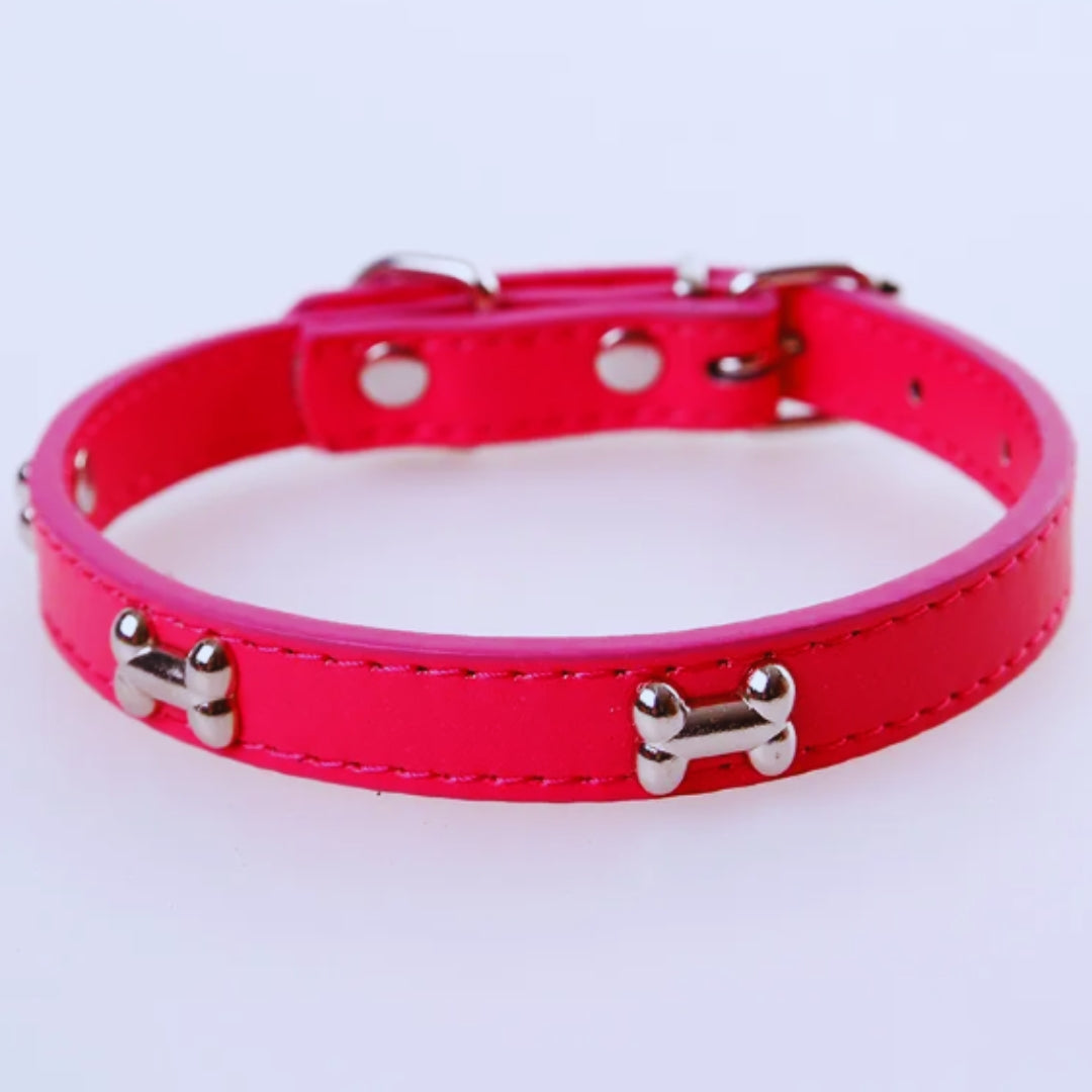 Hundehalsband mit Knochen-Nieten für kleine und mittelgroße Hunde