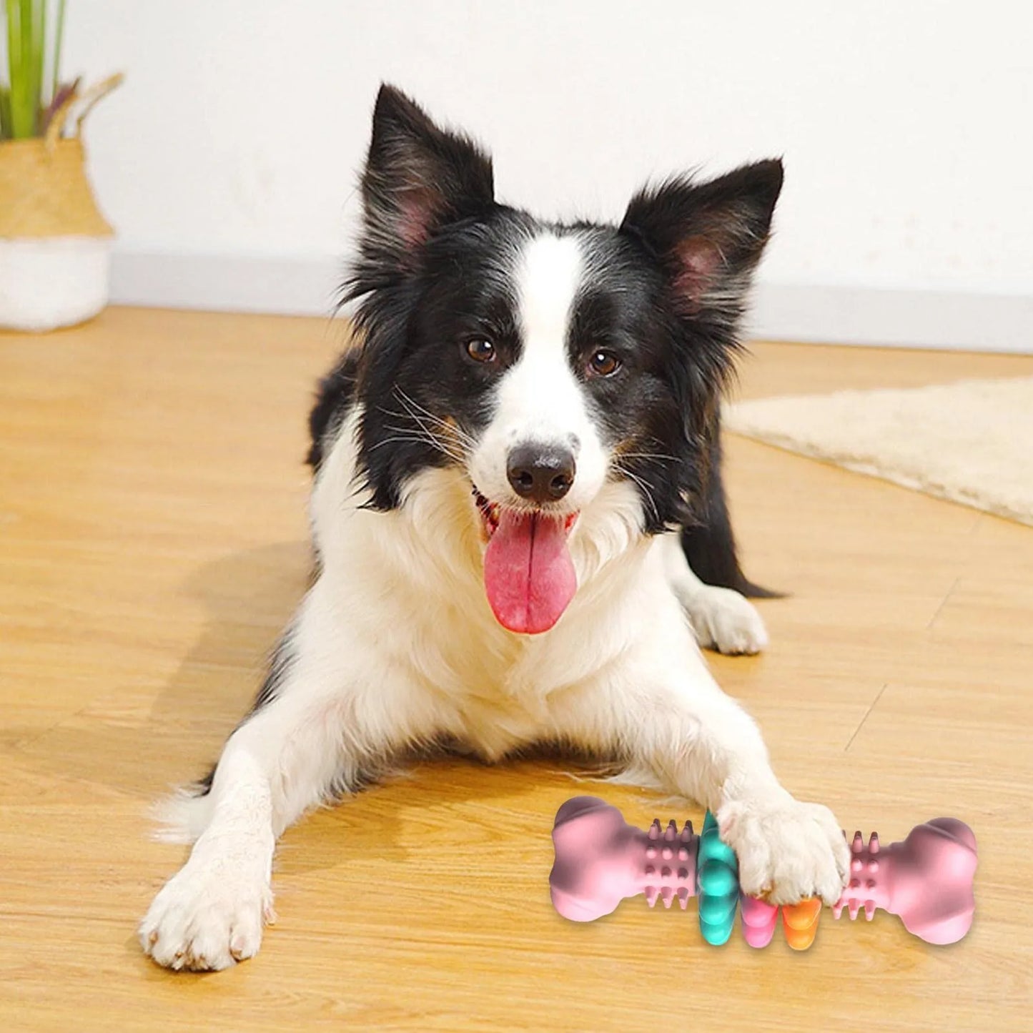 Hundespielzeug Zum Kauen Mit Zähnchen – Interaktives Kauspielzeug Für Hunde