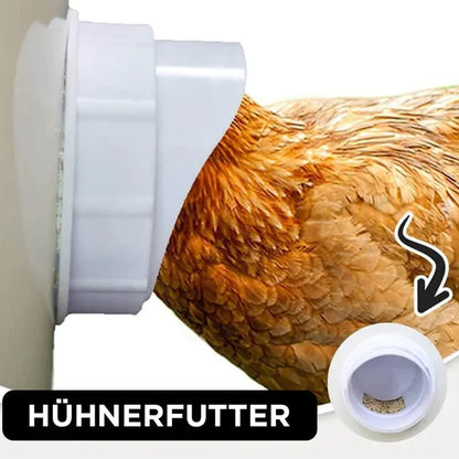 Selbstversorgendes Hühnerfutter-System