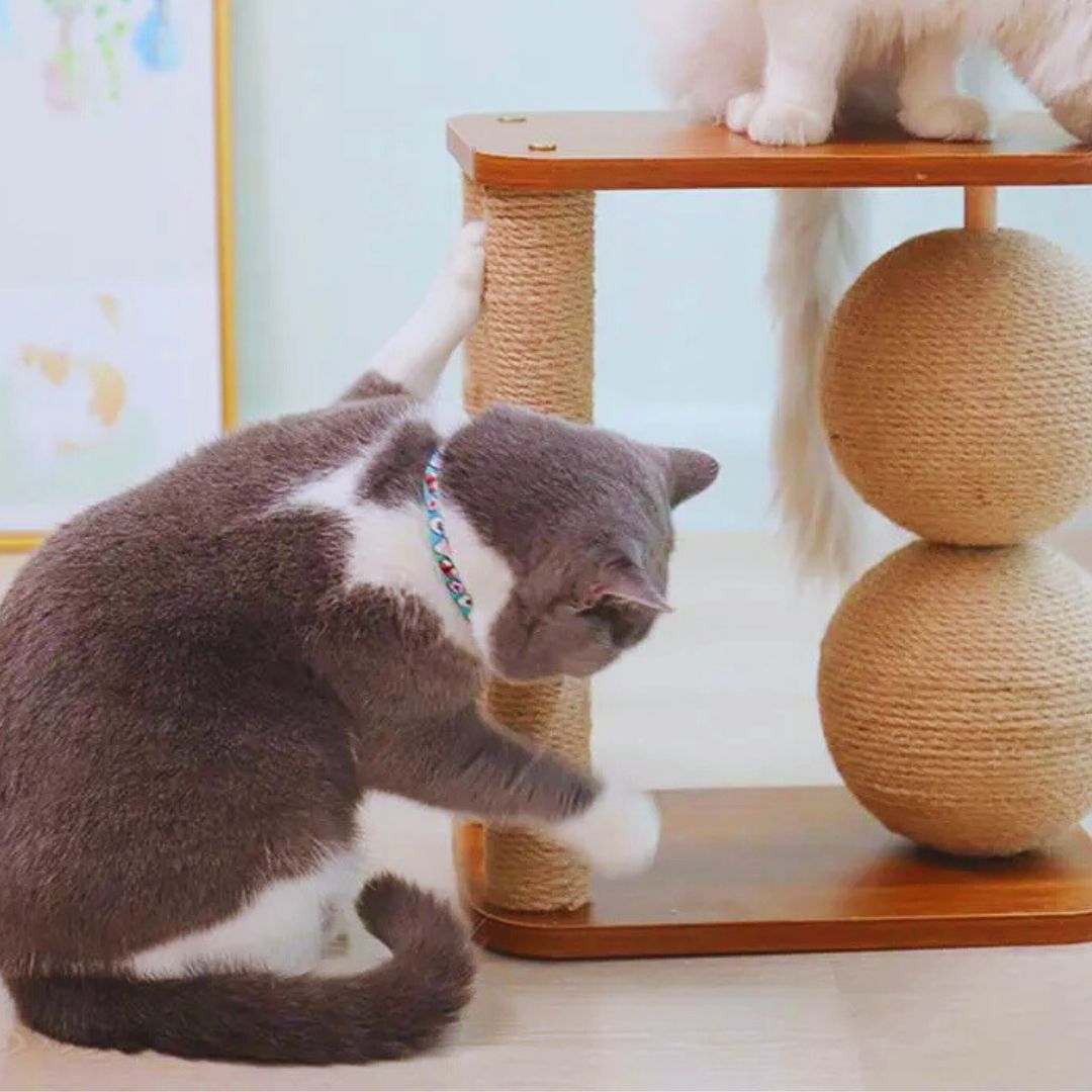 Katzenkratzbaum mit Plattform – Modernes Kratzmöbel mit Sisalstangen und Holzplatte