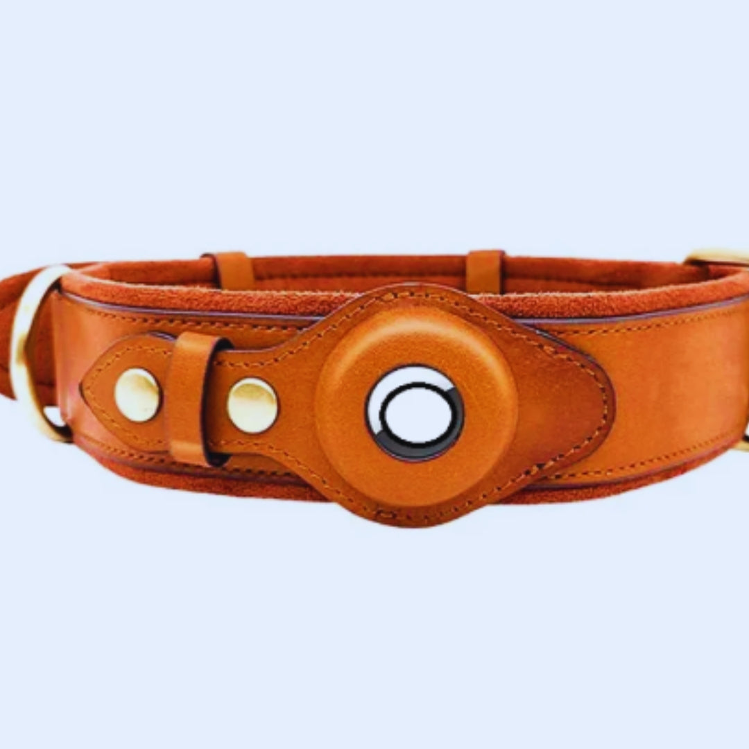 Leder Hundehalsband mit O-Ring – Verstellbares Hundehalfter In Verschiedenen Farben