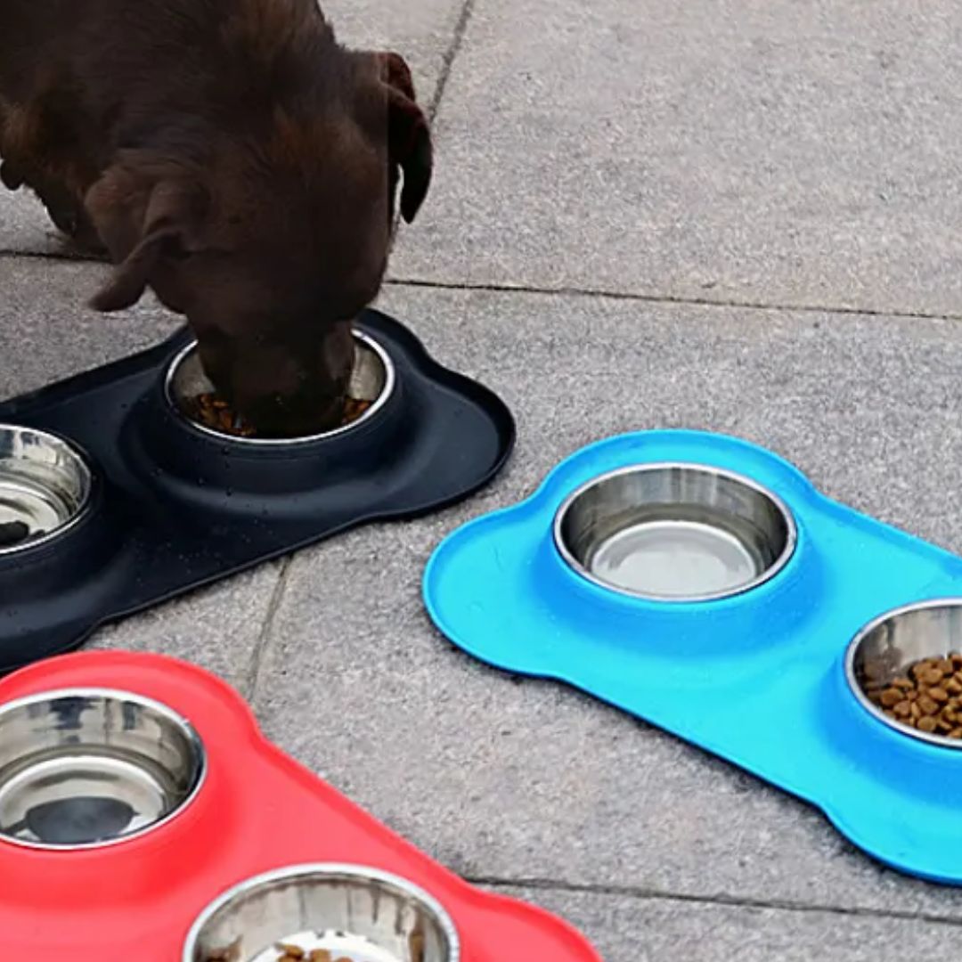 Rutschfeste Hundefutterschüssel mit Doppelschale und Silikonunterlage