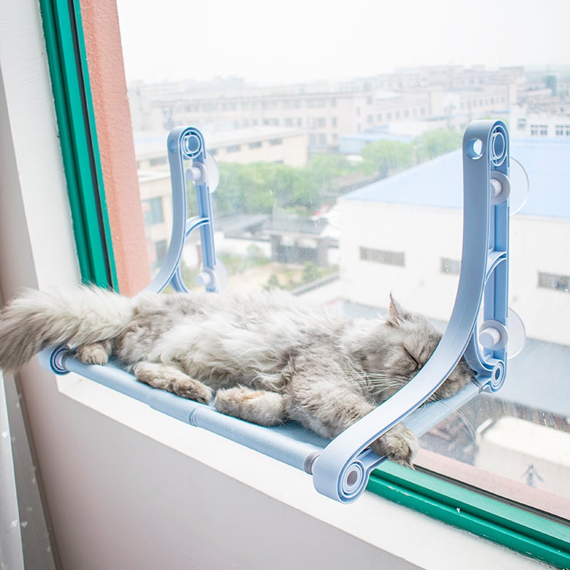 Katzenfensterbank mit Saugnäpfen – Bequeme Schlaf- und Ruhezone für Katzen