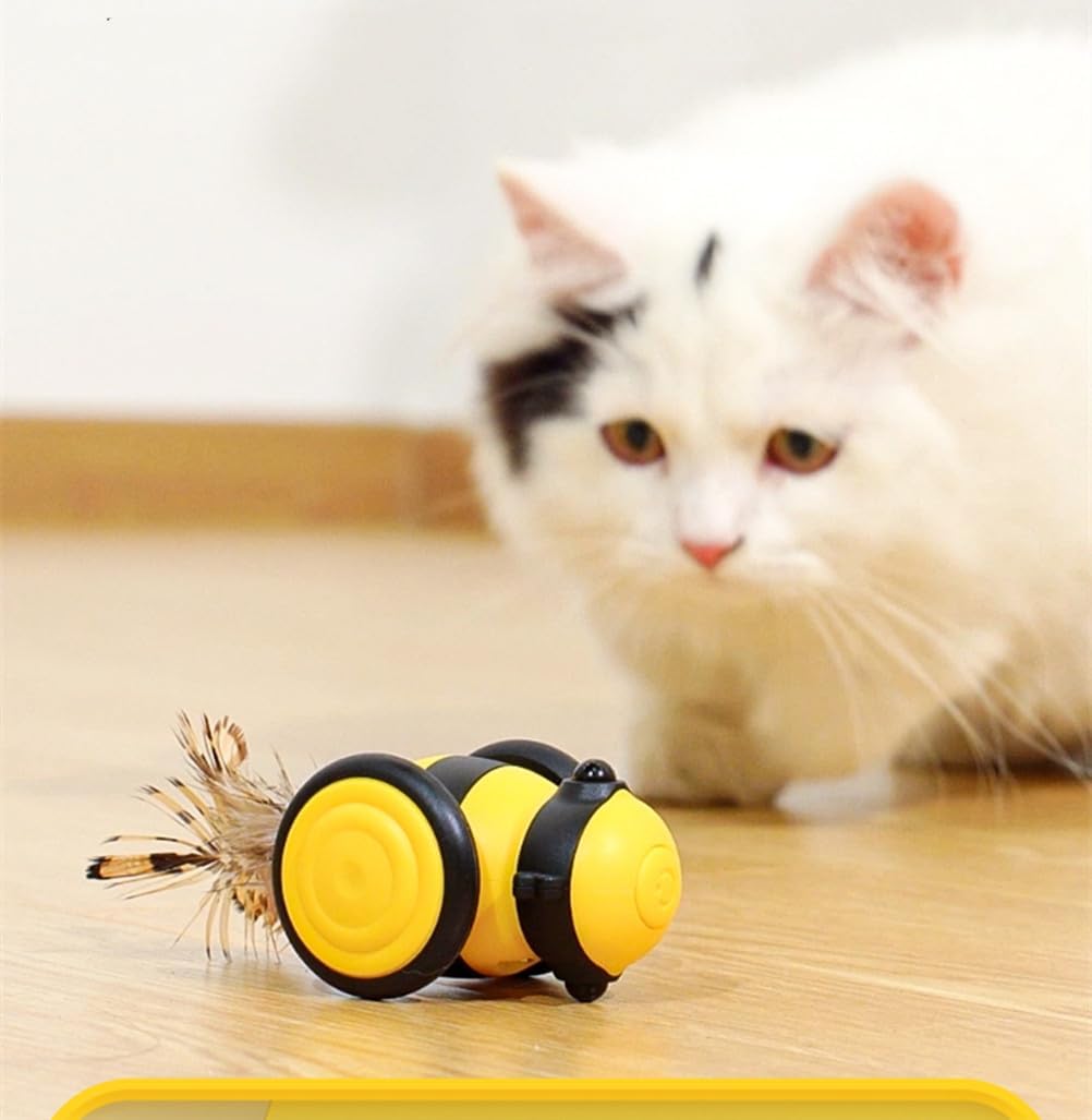 Ferngesteuertes Katzenspielzeug