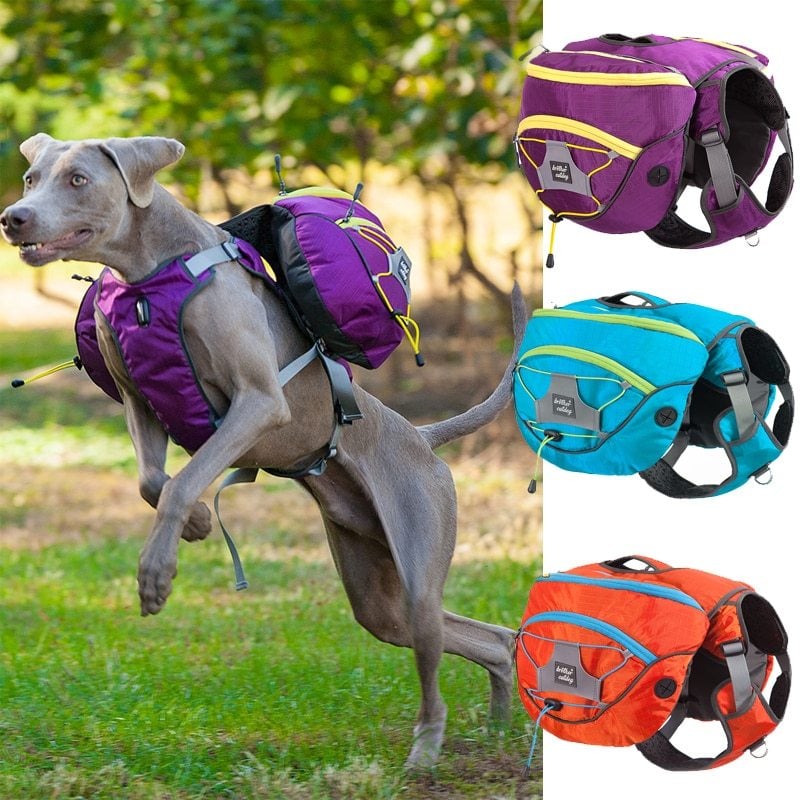 Hundewanderrucksack mit Wasserfesten Taschen – Tragbare Hundetrage für Outdoor-Aktivitäten