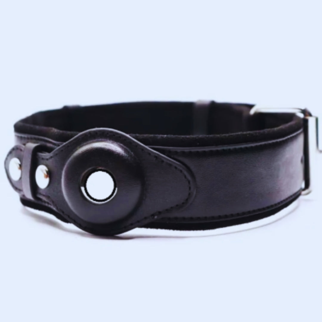 Leder Hundehalsband mit O-Ring – Verstellbares Hundehalfter In Verschiedenen Farben