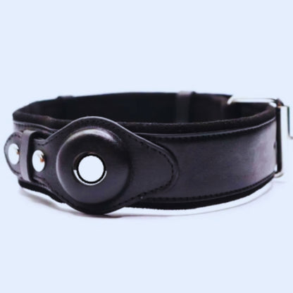 Leder Hundehalsband mit O-Ring – Verstellbares Hundehalfter In Verschiedenen Farben