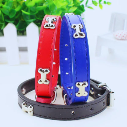 Hundehalsband mit Knochen-Nieten für kleine und mittelgroße Hunde