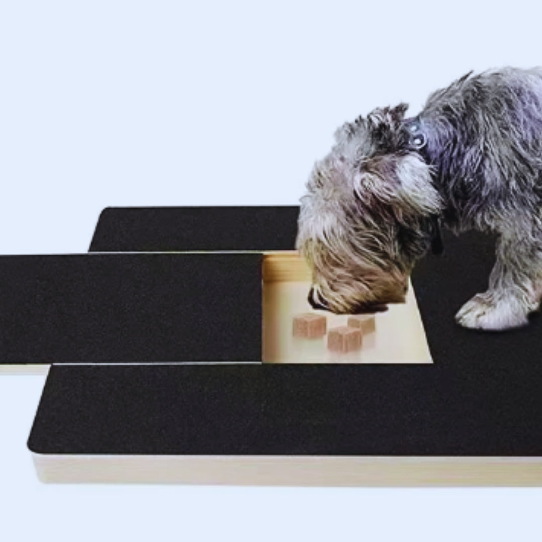 Hundespielzeug Aus Holz mit Futterversteck Interaktives Training für Hunde