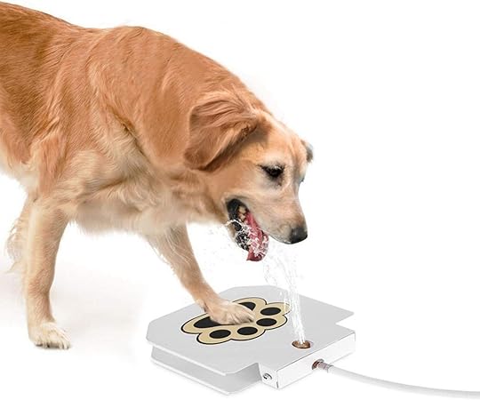 Interaktives Hundespielzeug mit Sprühfontäne