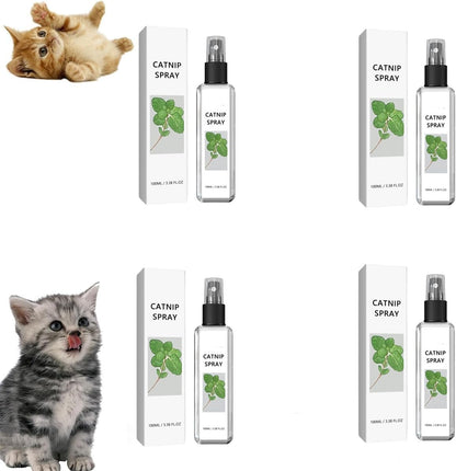 Katzenminze Katzenspray