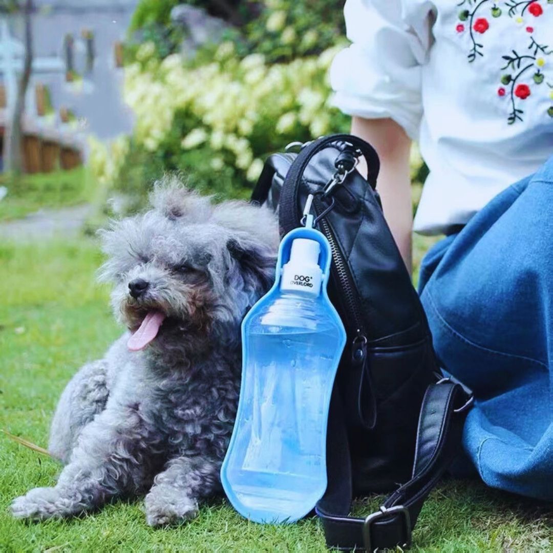 Tragbare Hunde-Trinkflasche mit Schale und Karabiner – Ideal für Spaziergänge und Reisen