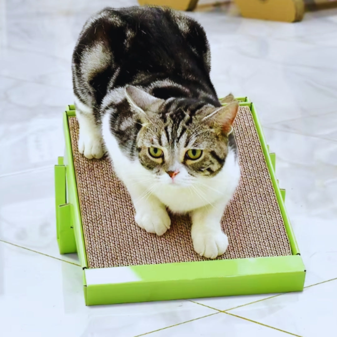 Kratzbrett für Katzen mit Ersatzpads Nachhaltiges Wellpappe Design