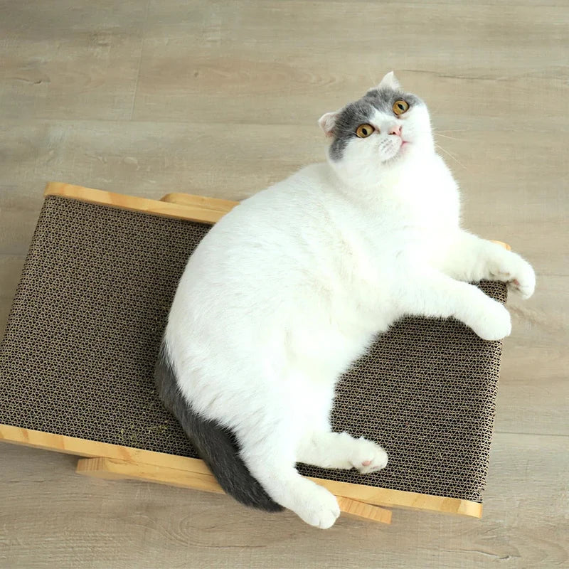 Katzen Kratzbrett