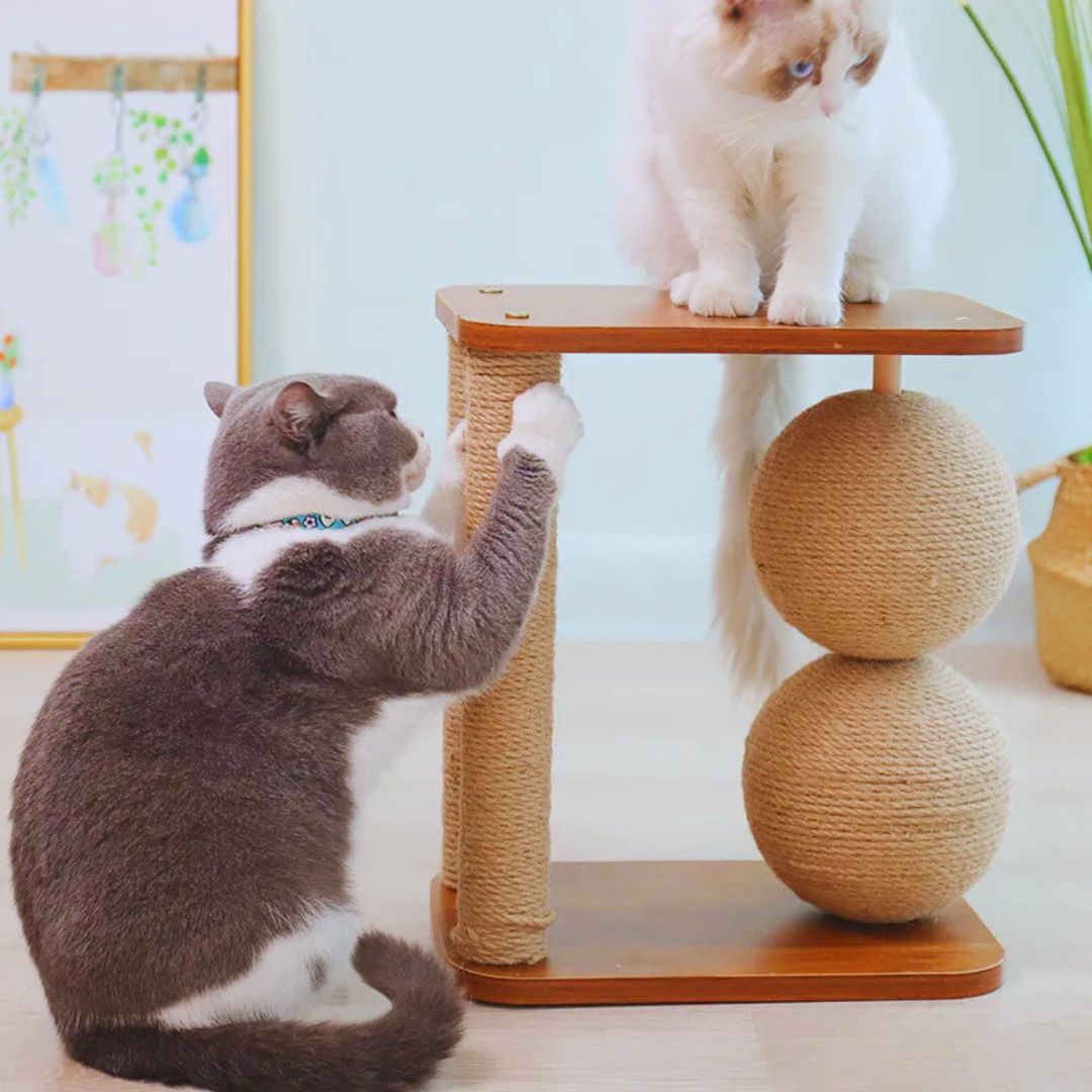 Katzenkratzbaum mit Plattform – Modernes Kratzmöbel mit Sisalstangen und Holzplatte