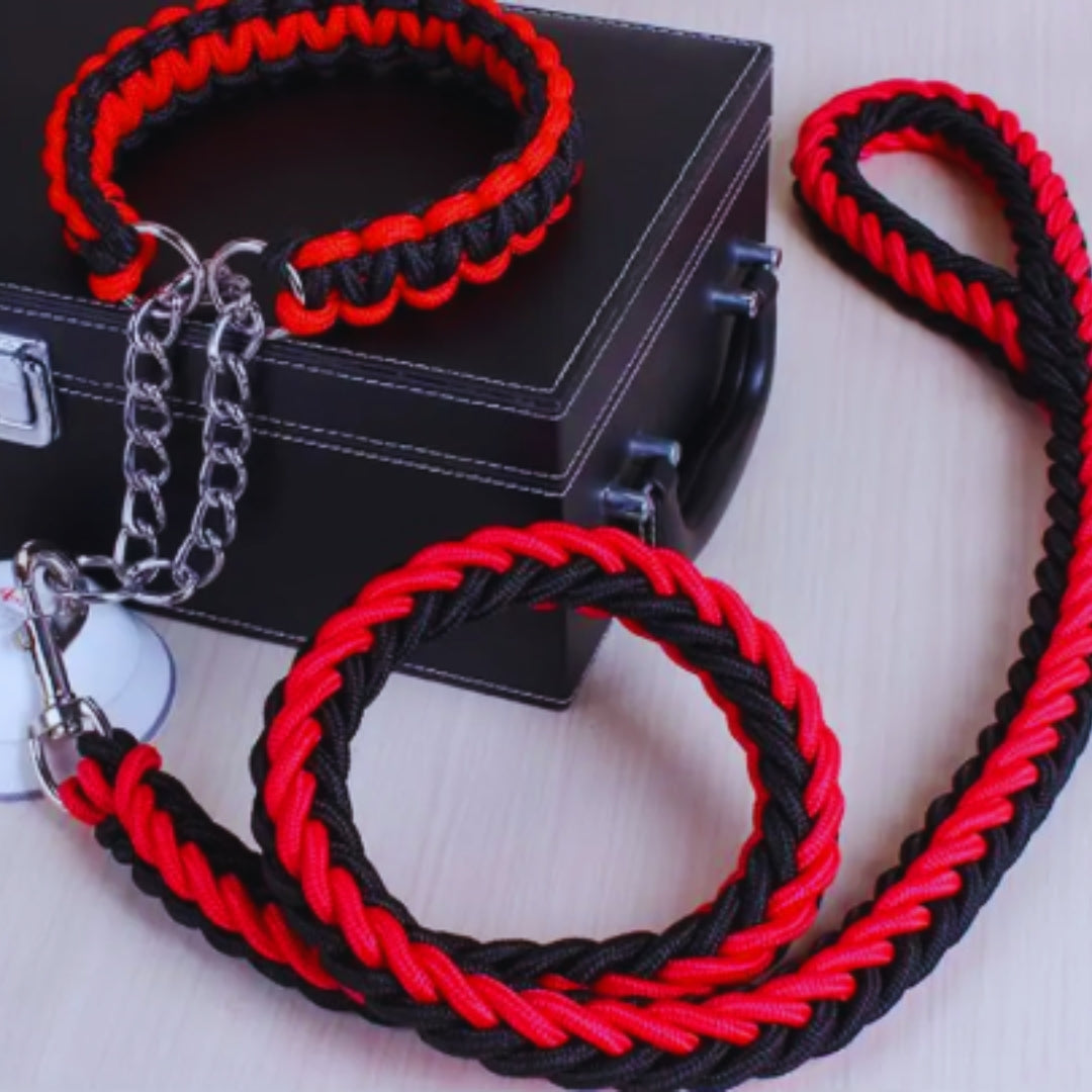Geflochtenes Hundehalsband mit Führleine und Kettenglied – Robustes Trainingsset für Mittelgroße und Große Hunde