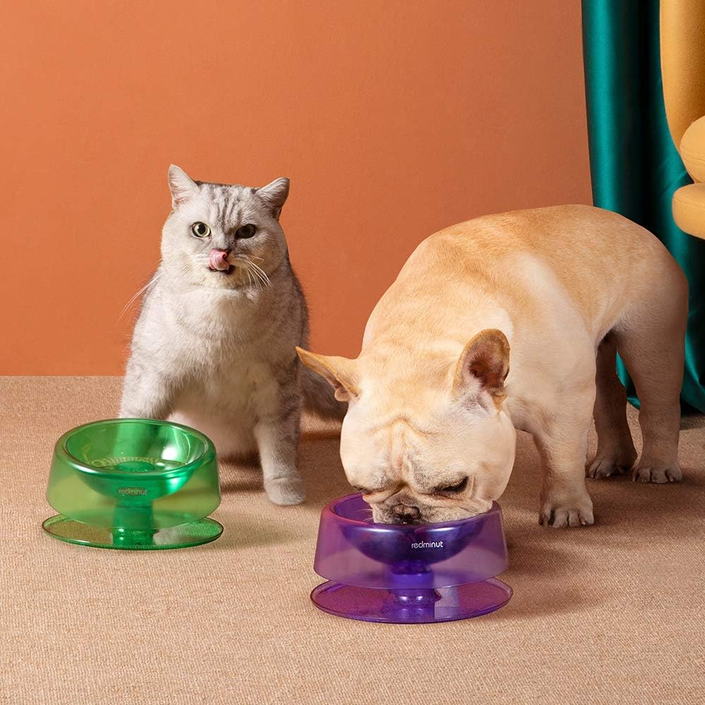 Design Futternapf für Hunde und Katzen Aus Hochwertigem Kunststoff – Rutschfest