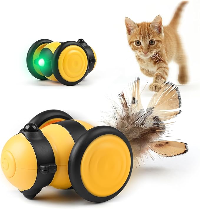 Ferngesteuertes Katzenspielzeug