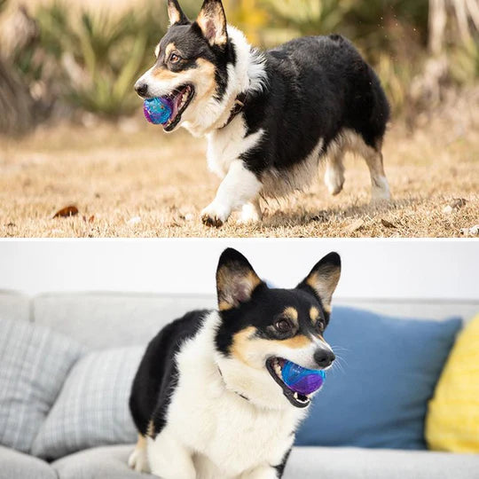 Langlebiger Kauspielball für Hunde