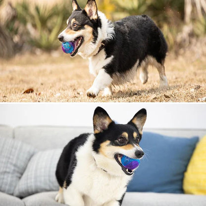 Langlebiger Kauspielball für Hunde