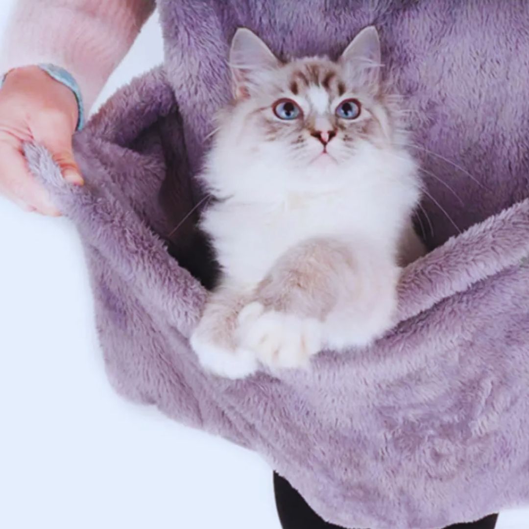 Tragetasche für Katzen und Kleine Haustiere – Weiche Haustiertasche mit Schulterriemen Grau