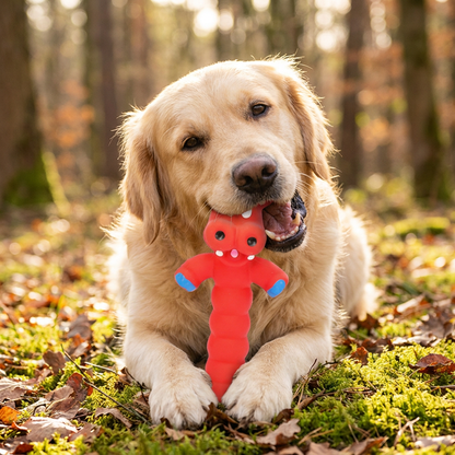 Robustes Hundekauspielzeug aus Naturlatex zur Zahnreinigung