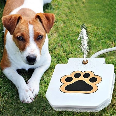 Interaktives Hundespielzeug mit Sprühfontäne