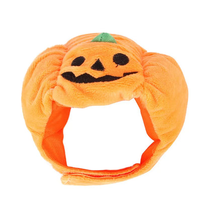 Süßes Halloween-Kürbis-Hundekostüm – Mit Lächelndem Kürbis-Design für Kleine Hunde