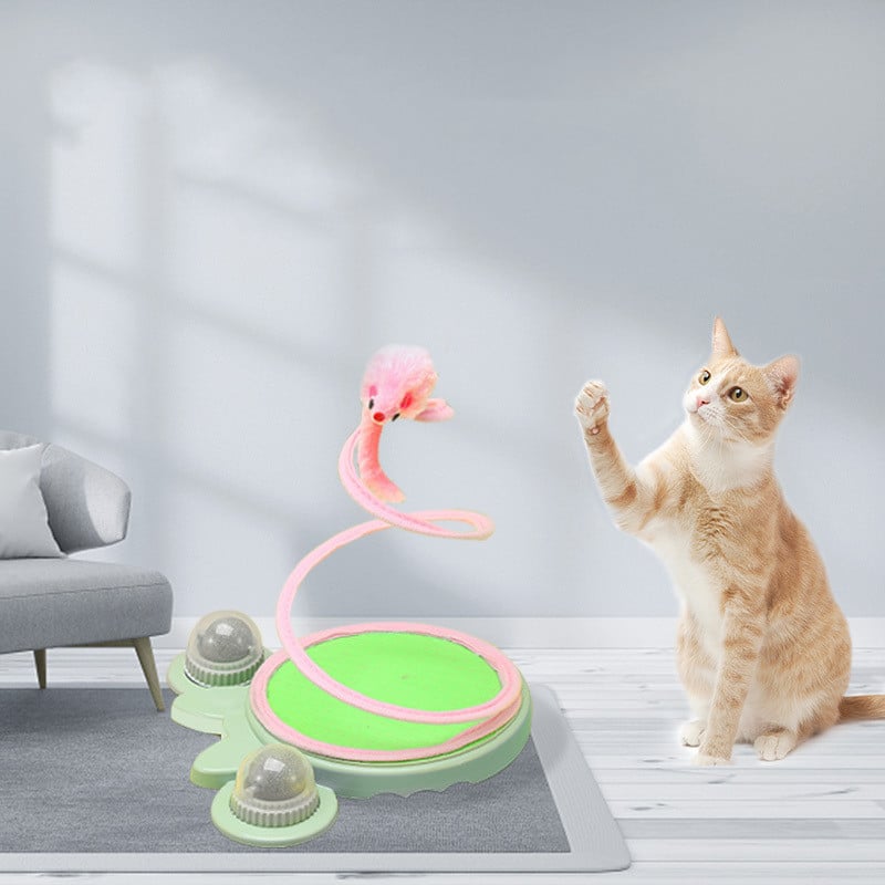 Interaktives Katzenspielzeug mit Spiral-Stock und Plüschmaus – Fördert die Aktivität und Das Spielverhalten