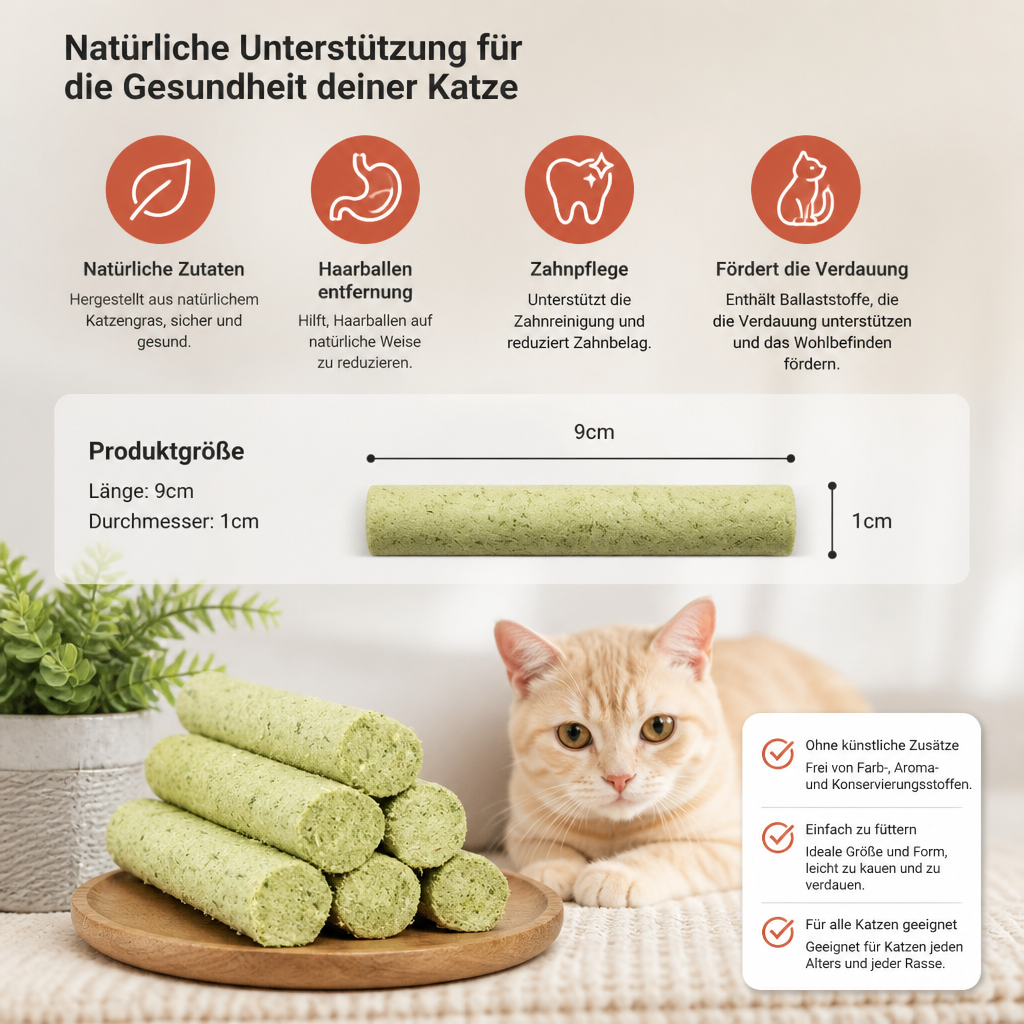 Katzengras Kaustangen zur Haarball Entfernung und Zahnpflege