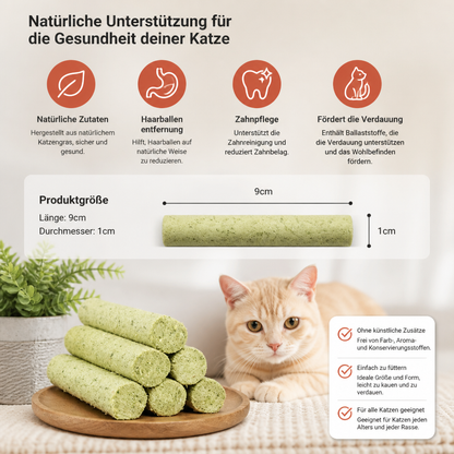 Katzengras Kaustangen zur Haarball Entfernung und Zahnpflege