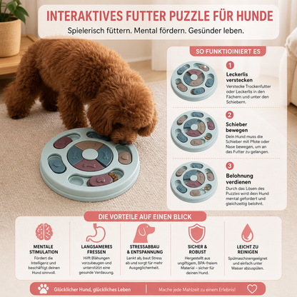 Interaktives Futter Puzzle für Hunde