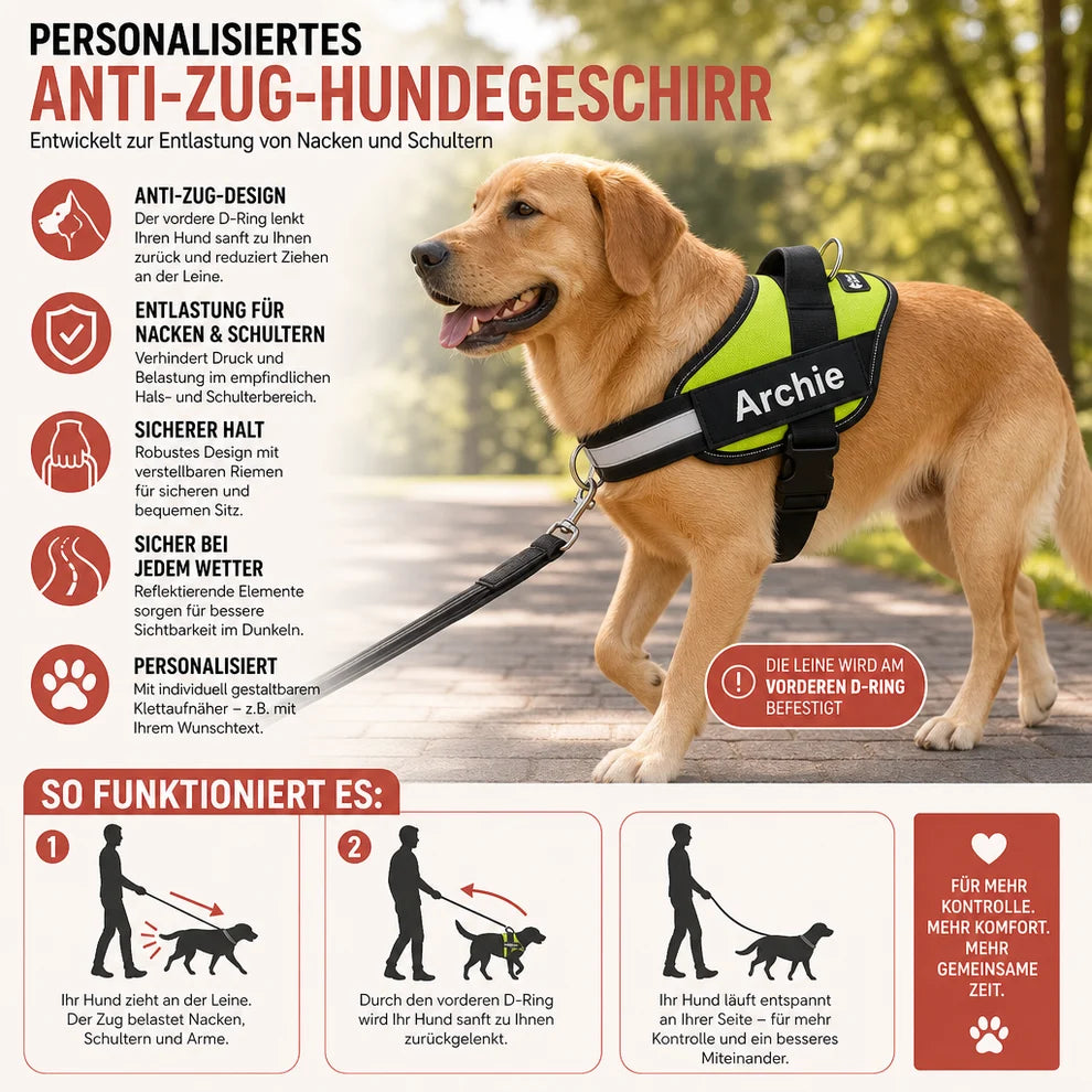 Personalisiertes Anti-Zug-Hundegeschirr mit vorderem D-Ring – zur Entlastung von Nacken und Schultern entwickelt