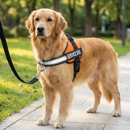 Personalisiertes Anti-Zug-Hundegeschirr mit vorderem D-Ring – zur Entlastung von Nacken und Schultern entwickelt