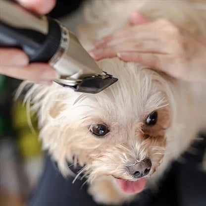 Lautloses Felltrimmer Set für Hunde