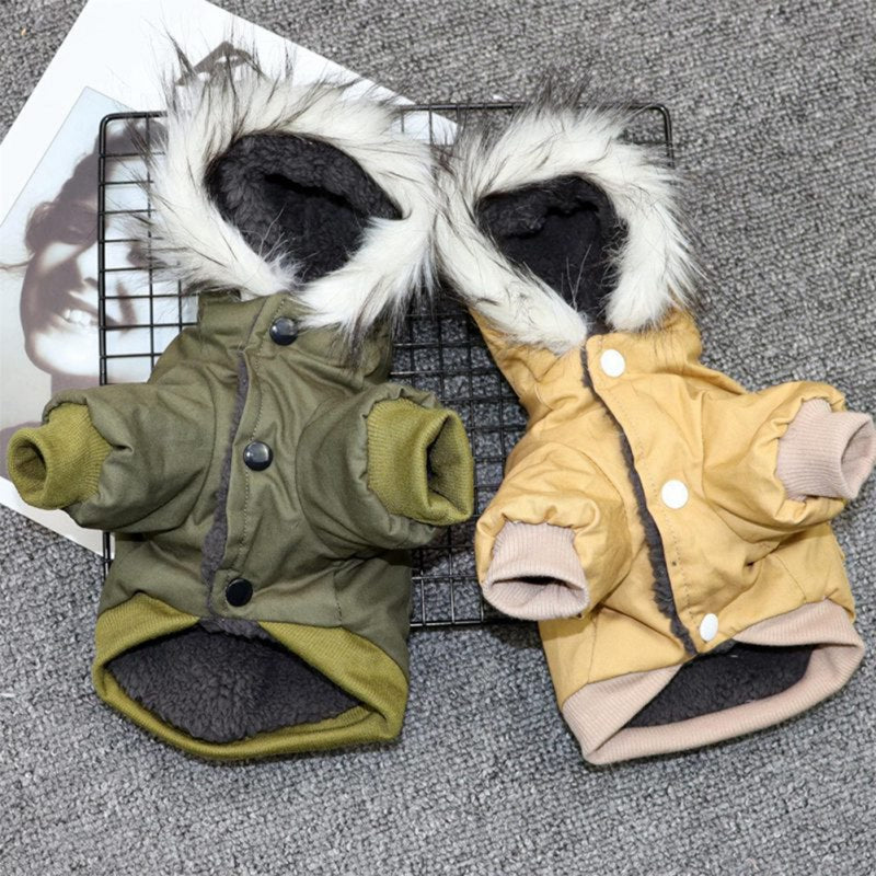 Hundemantel für den Winter