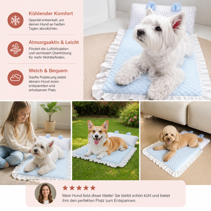 Kühlendes Hundebett für heiße Tage – weich, waschbar & bequem