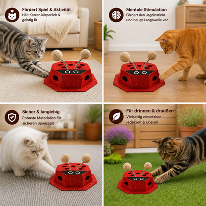 3-in-1-Puzzle-Spielzeug für Katzen in Form eines Marienkäfers