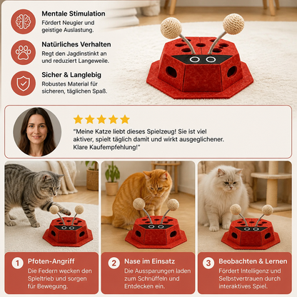 3-in-1-Puzzle-Spielzeug für Katzen in Form eines Marienkäfers