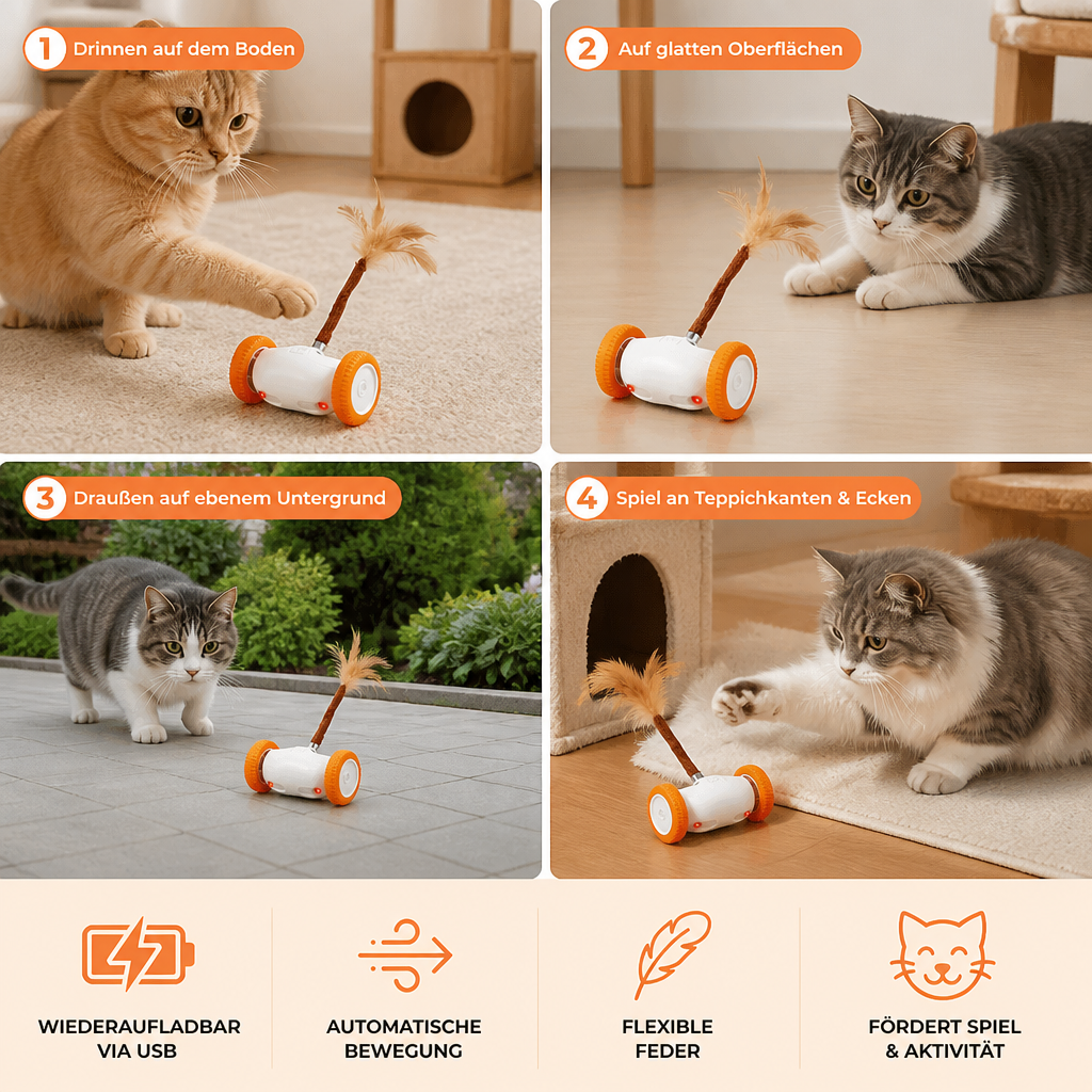 Selbstbewegendes Spielzeug mit Federn für Katzen