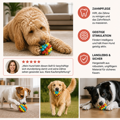 Bunter Hundekau-Ball mit Noppen
