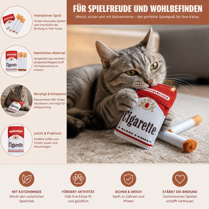 Zigarettenschachtel Katzenminze Spielzeug Set für Interaktiven Spielspaß