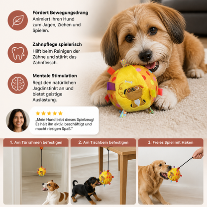 Interaktives hängendes Hundespielzeug mit elastischem Spielseil und Haken
