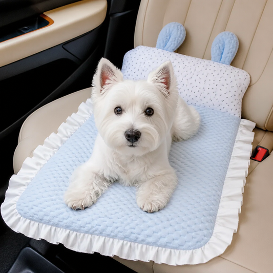 Kühlendes Hundebett für heiße Tage – weich, waschbar & bequem