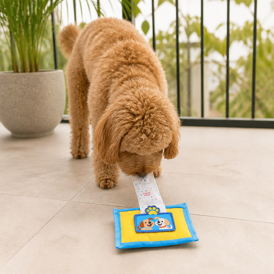 Langlebiges Schnüffelspielzeug für Hunde im Tuchbox Design – Mit Versteckfach & Quietschfunktion
