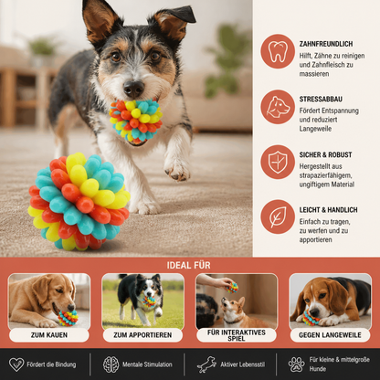 Bunter Hundekau-Ball mit Noppen