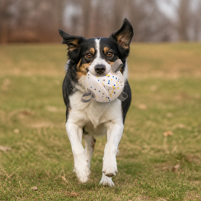 Umweltfreundlicher, unzerstörbarer Hundeball – bissfestes, interaktives Zieh- und Apportierspielzeug