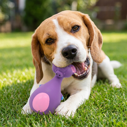 Robustes, umweltfreundliches Latex-Hundespielzeug mit Quietscher & Zahnpflege