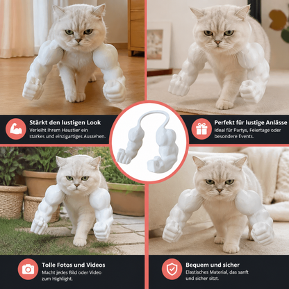 Muskelarm Katzenkostüm mit Geschirr für Lustige Fotos und Verkleidung